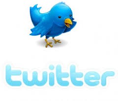 ¿Como proyectarse en Twitter?.